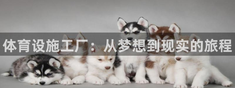 意昂4集团简介：体育设施工厂：从梦想到现实的旅程