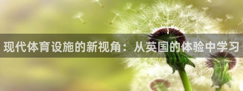 意昂4娱乐首页网站大全：现代体育设施的新视角：从英国