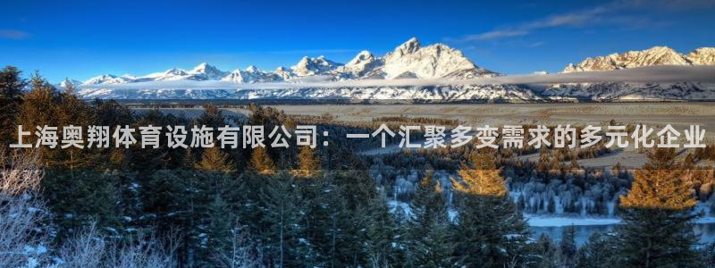 意昂4神州：上海奥翔体育设施有限公司：一个汇聚多变需