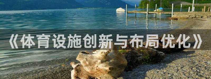 意昂4娱乐：《体育设施创新与布局优化》