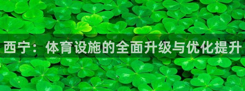 意昂4集团官网网址：西宁：体育设施的全面升级与优化提