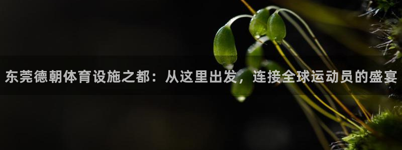 意昂体育4招商电话地址是多少：东莞德朝体育设施之都：