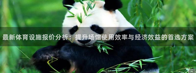 意昂体育4是干嘛的公司：最新体育设施报价分析：提升场