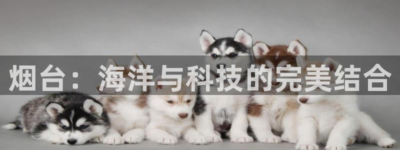 意昂4集团官网网址