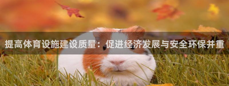 意昂4集团：提高体育设施建设质量：促进经济发展与安全