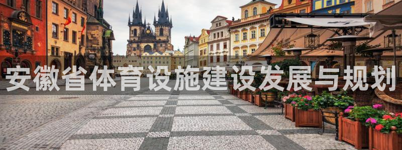 意昂体育4是干嘛的公司：安徽省体育设施建设发展与规划