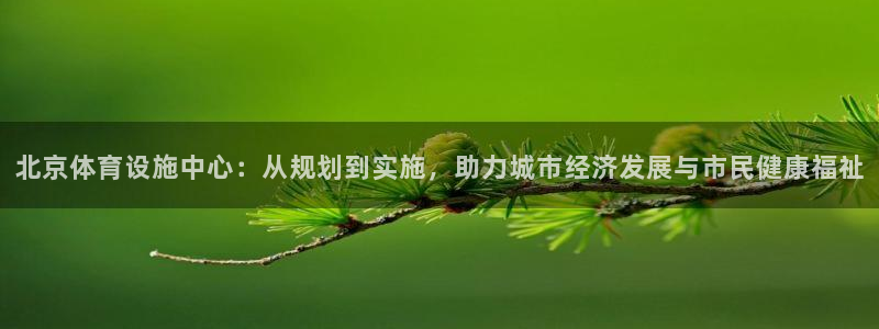 德国意昂4集团：北京体育设施中心：从规划到实施，助力