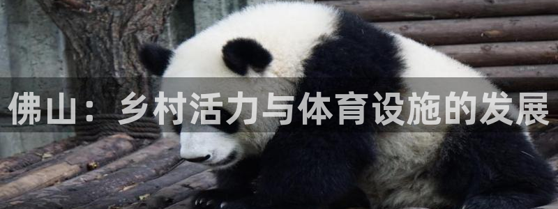 意昂集团官网：佛山：乡村活力与体育设施的发展