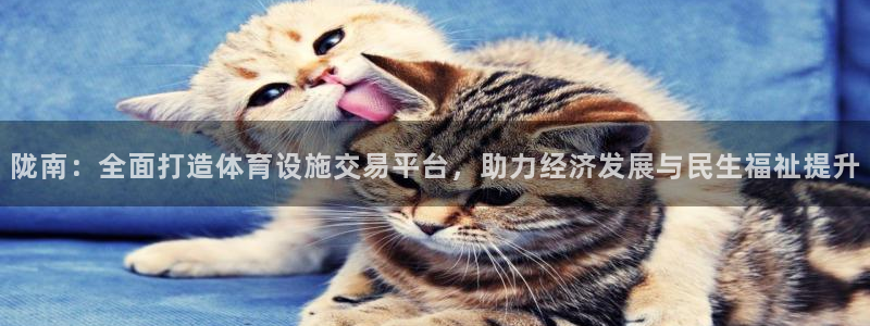 意昂4开户：陇南：全面打造体育设施交易平台，助力经济