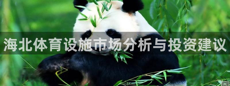 意昂4集团E.ON：海北体育设施市场分析与投资建议
