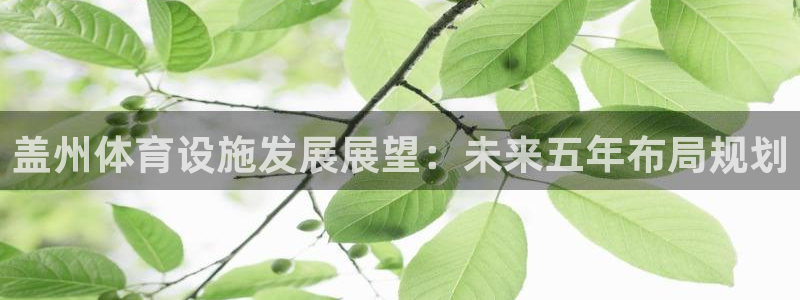 意昂4代理：盖州体育设施发展展望：未来五年布局规划