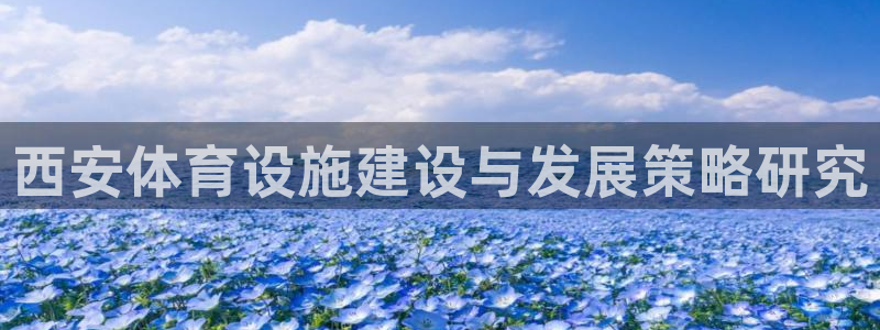 意昂4娱乐下载：西安体育设施建设与发展策略研究